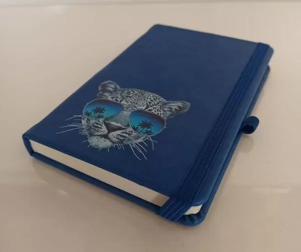 Standart Küçük Defter (Tarihsiz) 9 x 14 cm Kırmızı